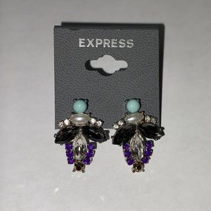 EXPRESS STONE CRYSTAL SILVER POST CRYSTAL EARRINGS EX2